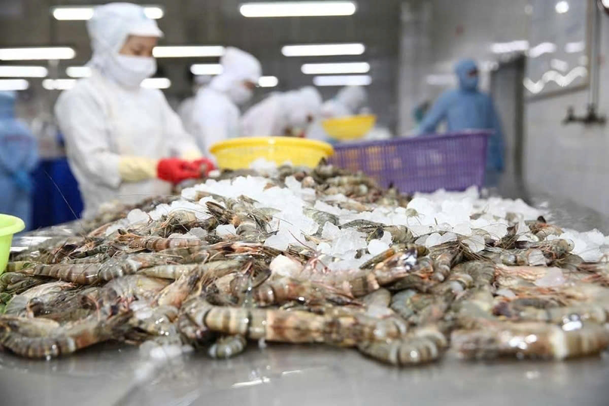 Shrimp exports enjoy double-digit growth over 10 months
